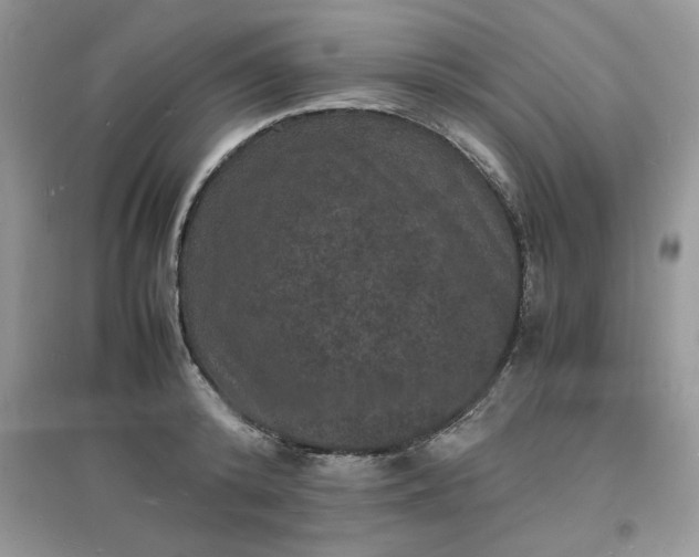 X0000097620800200803142001