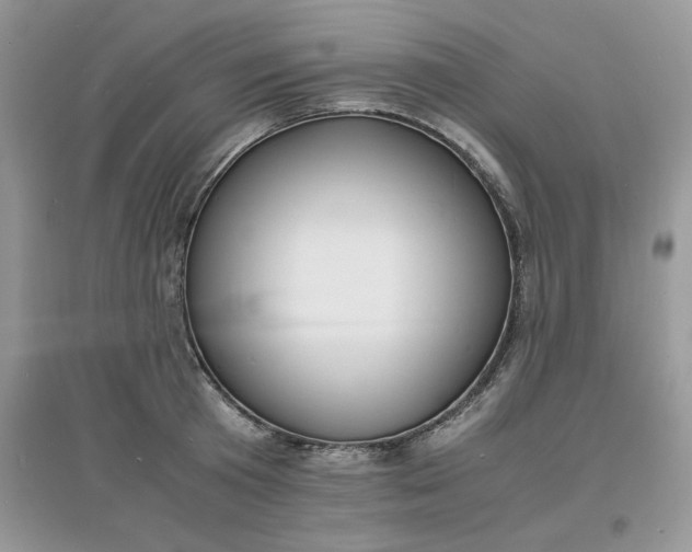 X0000097620801200803142001