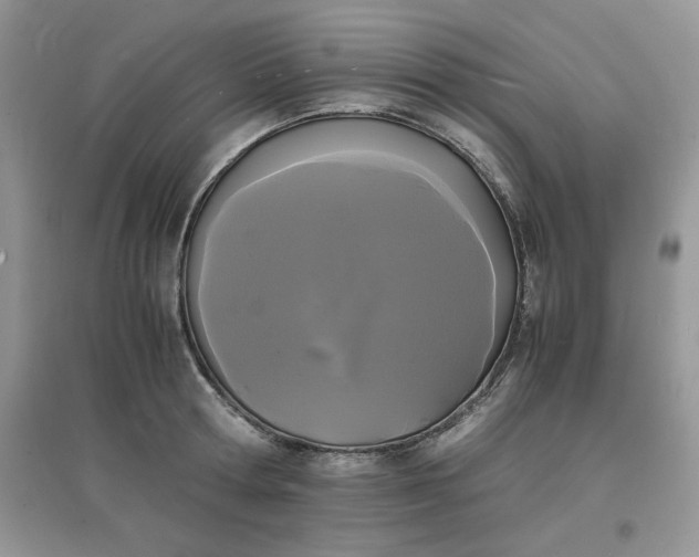 X0000097620802200803142001