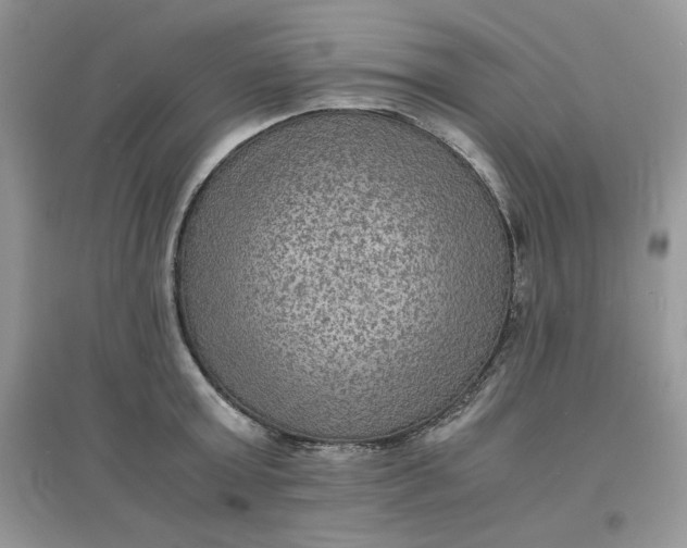 X0000097620803200803142001