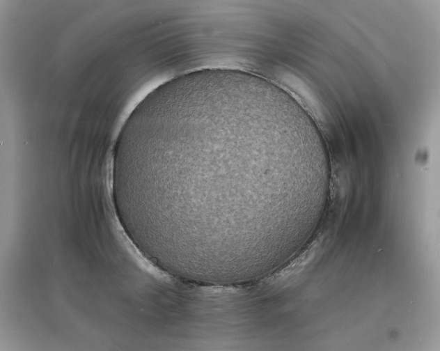 X0000097620804200803142001