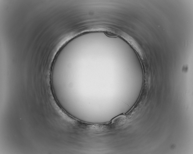 X0000097620805200803142001