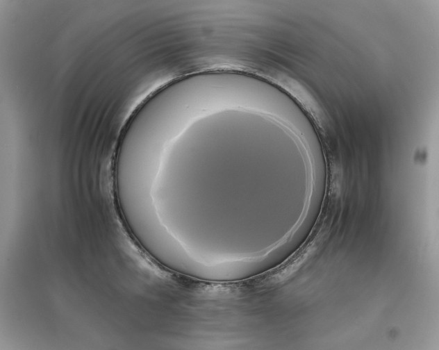 X0000097620806200803142001