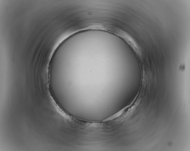 X0000097620808200803142001
