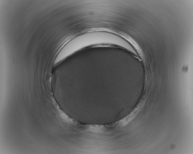 X0000097620809200803142001