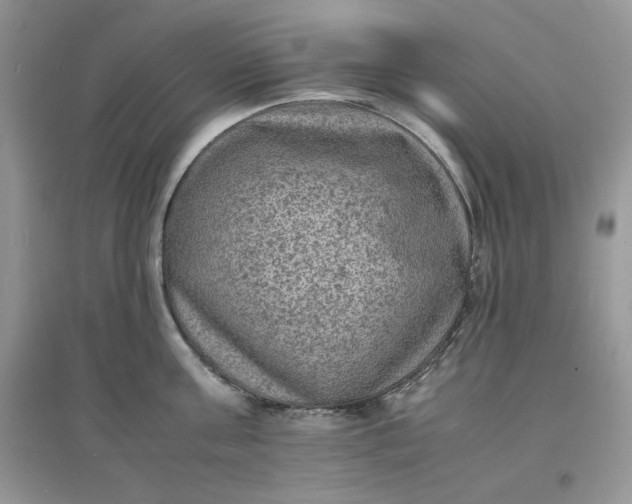 X0000097620811200803142001