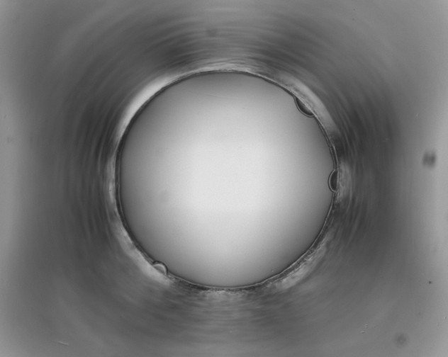 X0000097620812200803142001