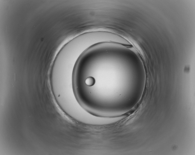 X0000097620813200803142001
