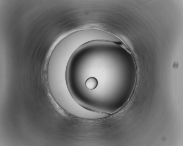 X0000097620816200803142000