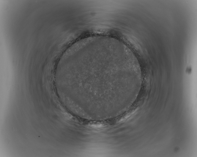 X0000097620817200803142000