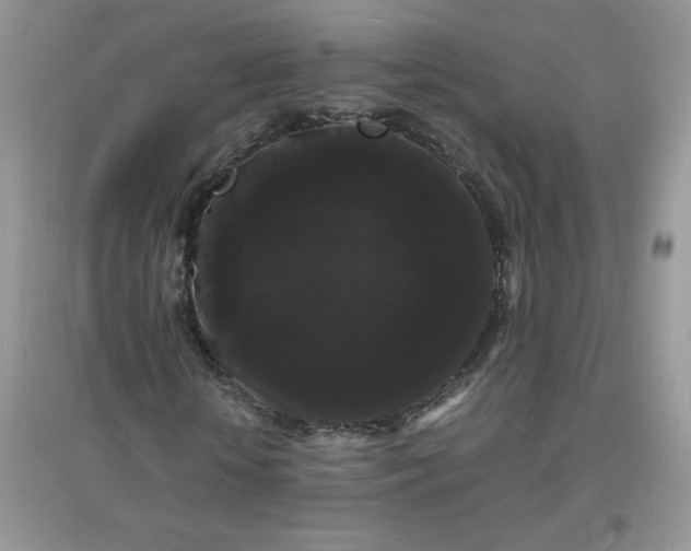 X0000097620818200803142000
