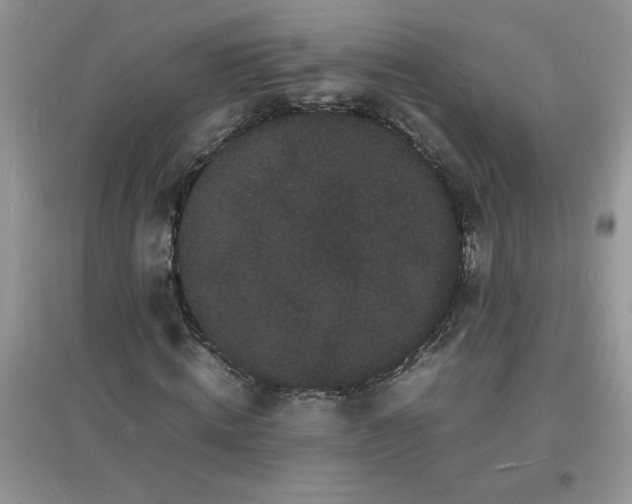 X0000097620820200803142000