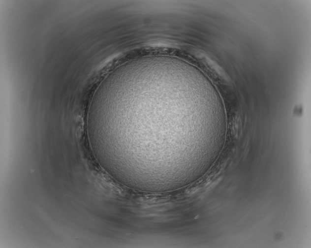 X0000097620821200803142000