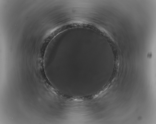 X0000097620822200803142000