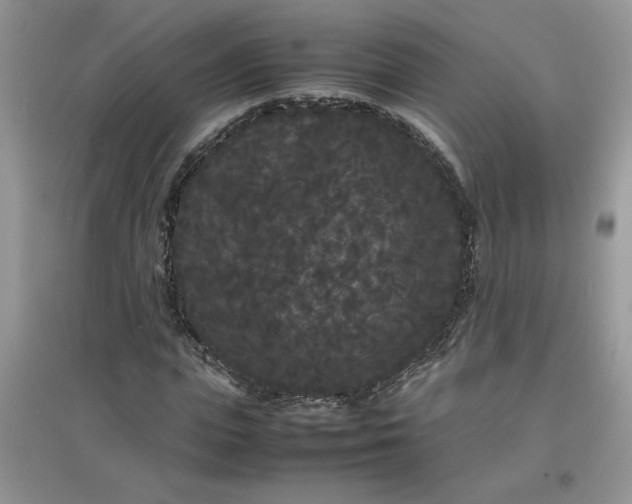 X0000097620823200803142000