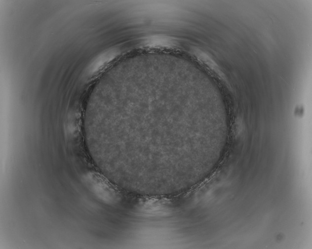 X0000097620824200803142000