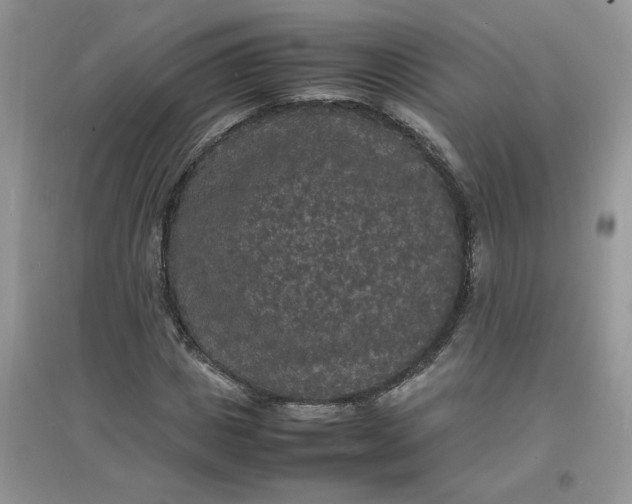 X0000097620825200803142000