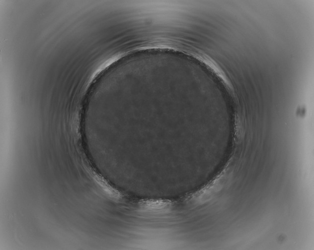 X0000097620826200803142000