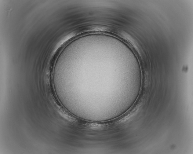 X0000097620827200803142000