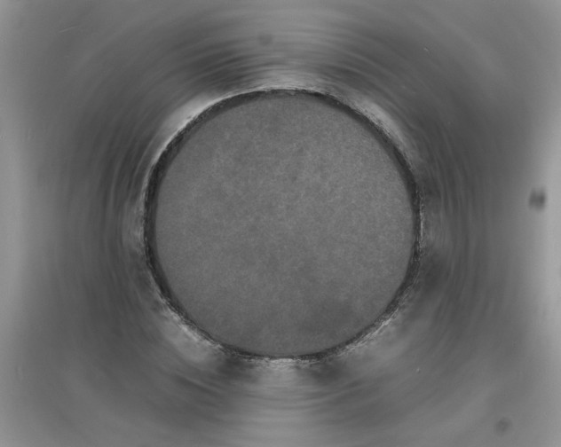 X0000097620828200803142000