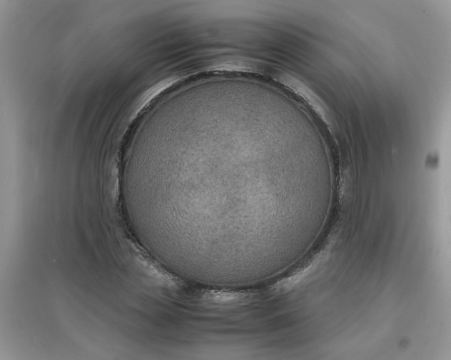 X0000097620829200803142000