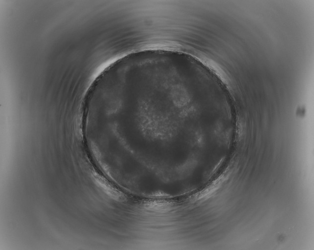 X0000097620830200803142000