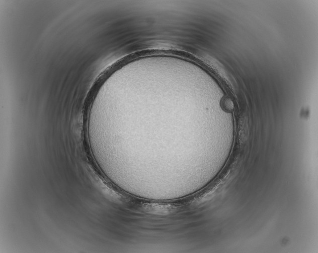 X0000097620831200803142000