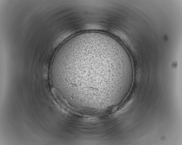 X0000097620833200803142000