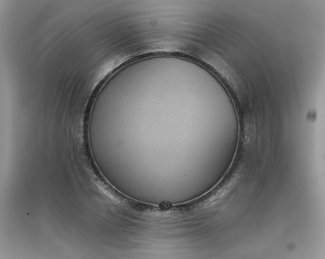 X0000097620834200803142000