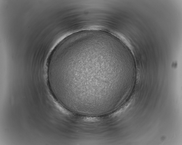 X0000097620835200803142000