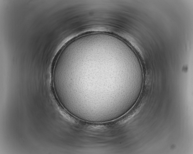 X0000097620837200803142000