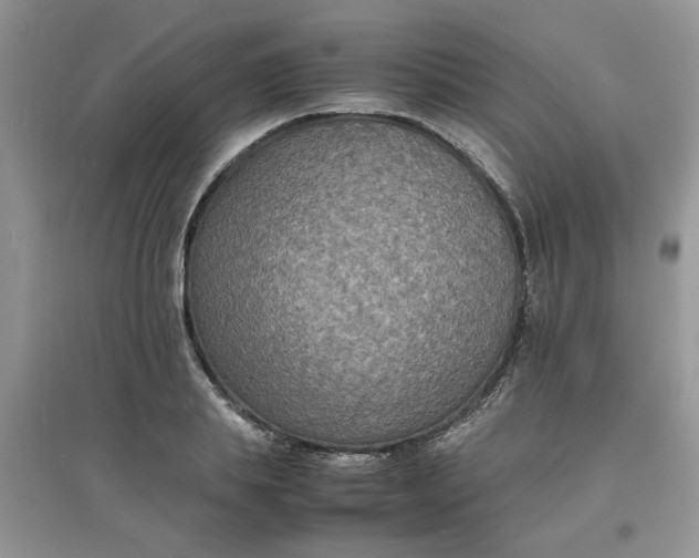 X0000097620839200803142000
