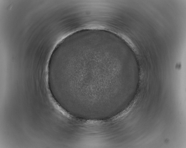 X0000097620840200803142000