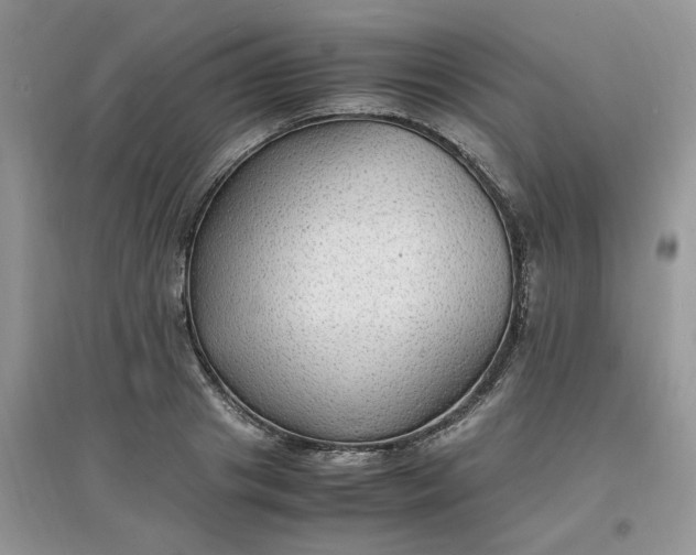 X0000097620841200803142000