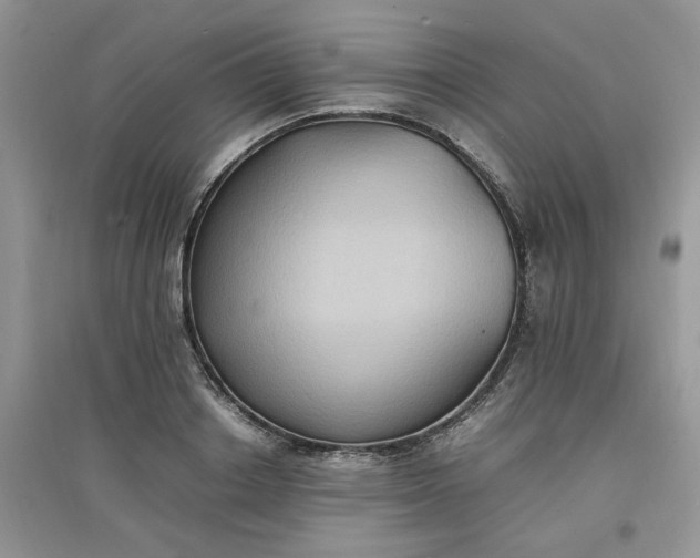 X0000097620842200803142000
