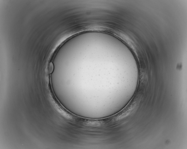 X0000097620843200803142000