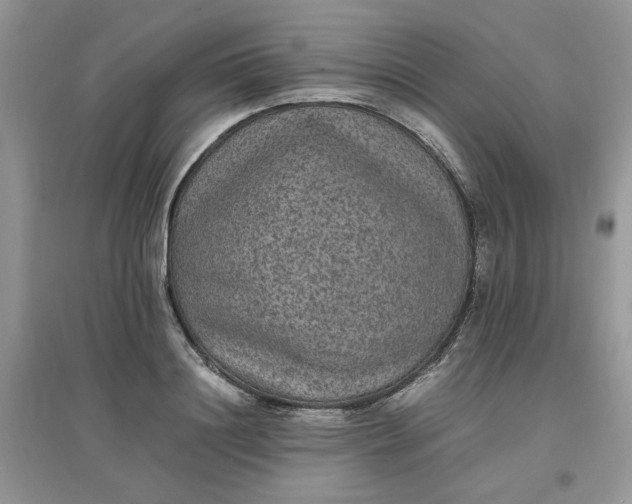 X0000097620844200803142000