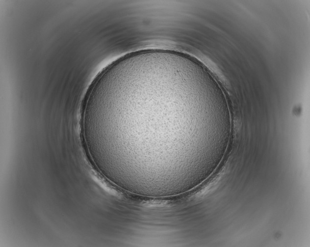 X0000097620846200803142000