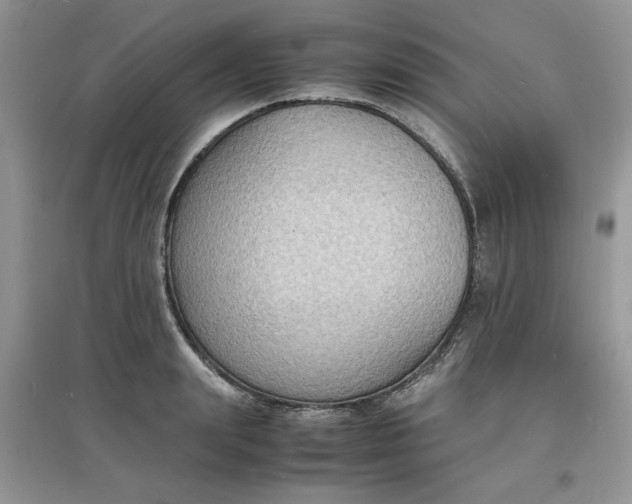 X0000097620847200803142000