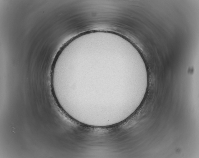 X0000097620848200803142000