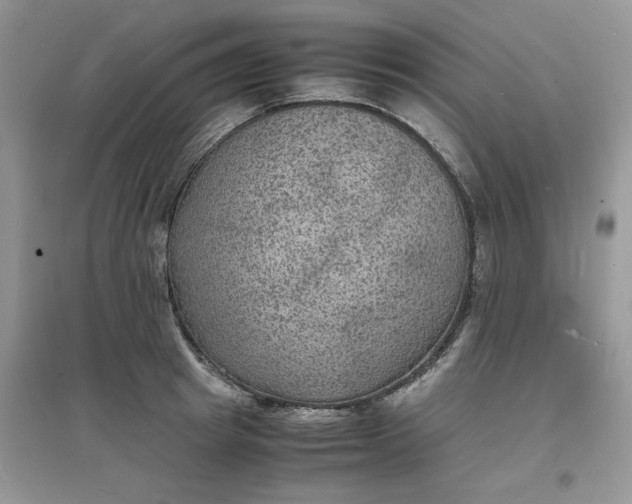 X0000097620849200803142000