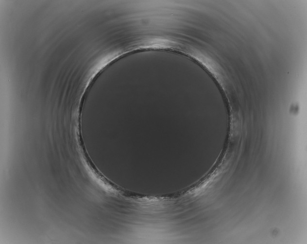 X0000097620850200803142000