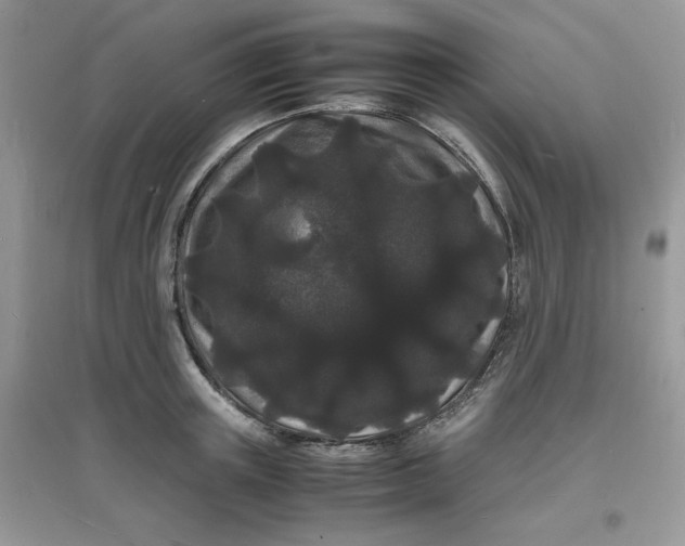 X0000097620851200803142000