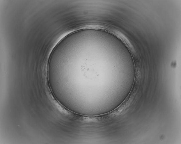 X0000097620852200803142000