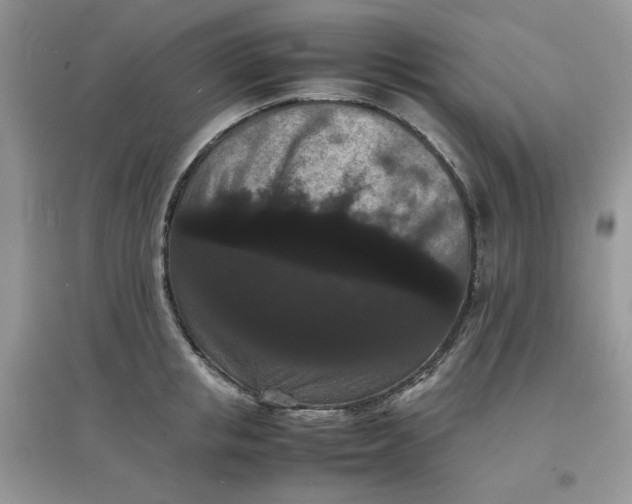 X0000097620853200803142000