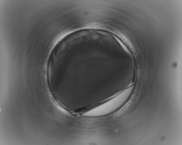X0000097620854200803142000