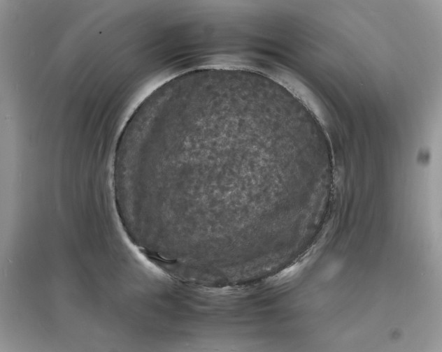 X0000097620855200803142000