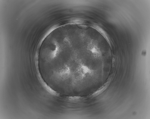 X0000097620859200803142000
