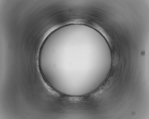 X0000097620861200803142000