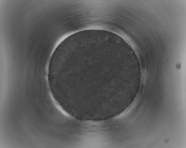 X0000097620862200803142000